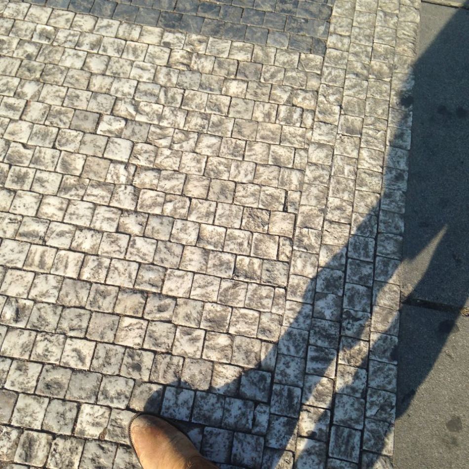 12273095_10153323993351491_56120653_n