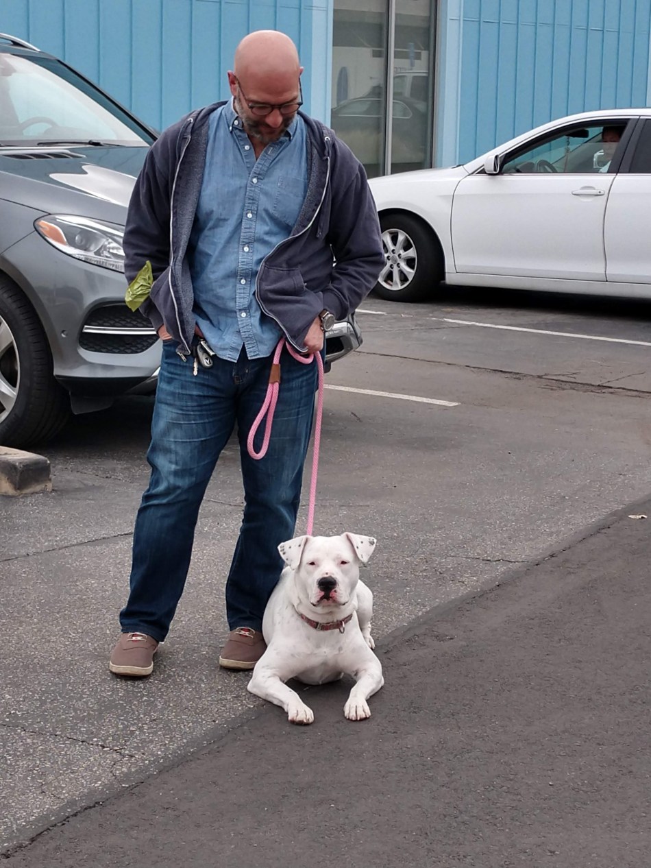 img_20190212_143907914_hdr