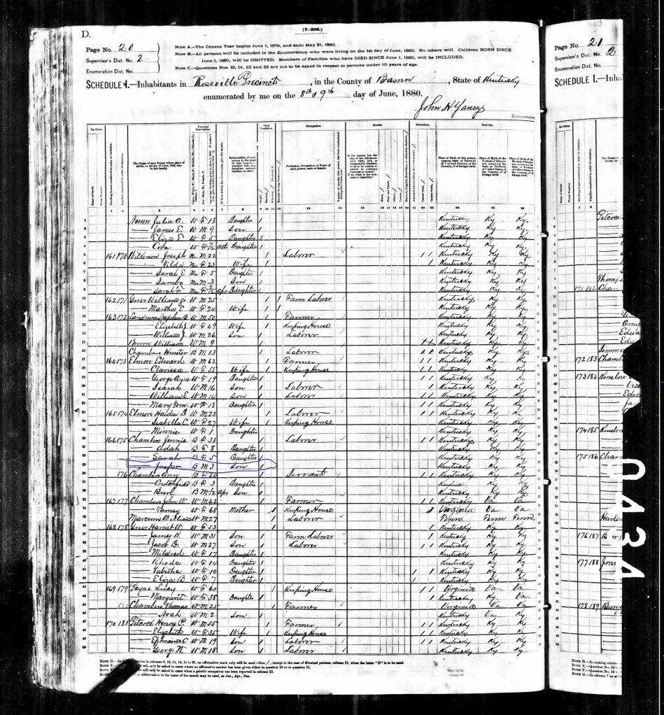 Jasper 4241142-00451 (1)