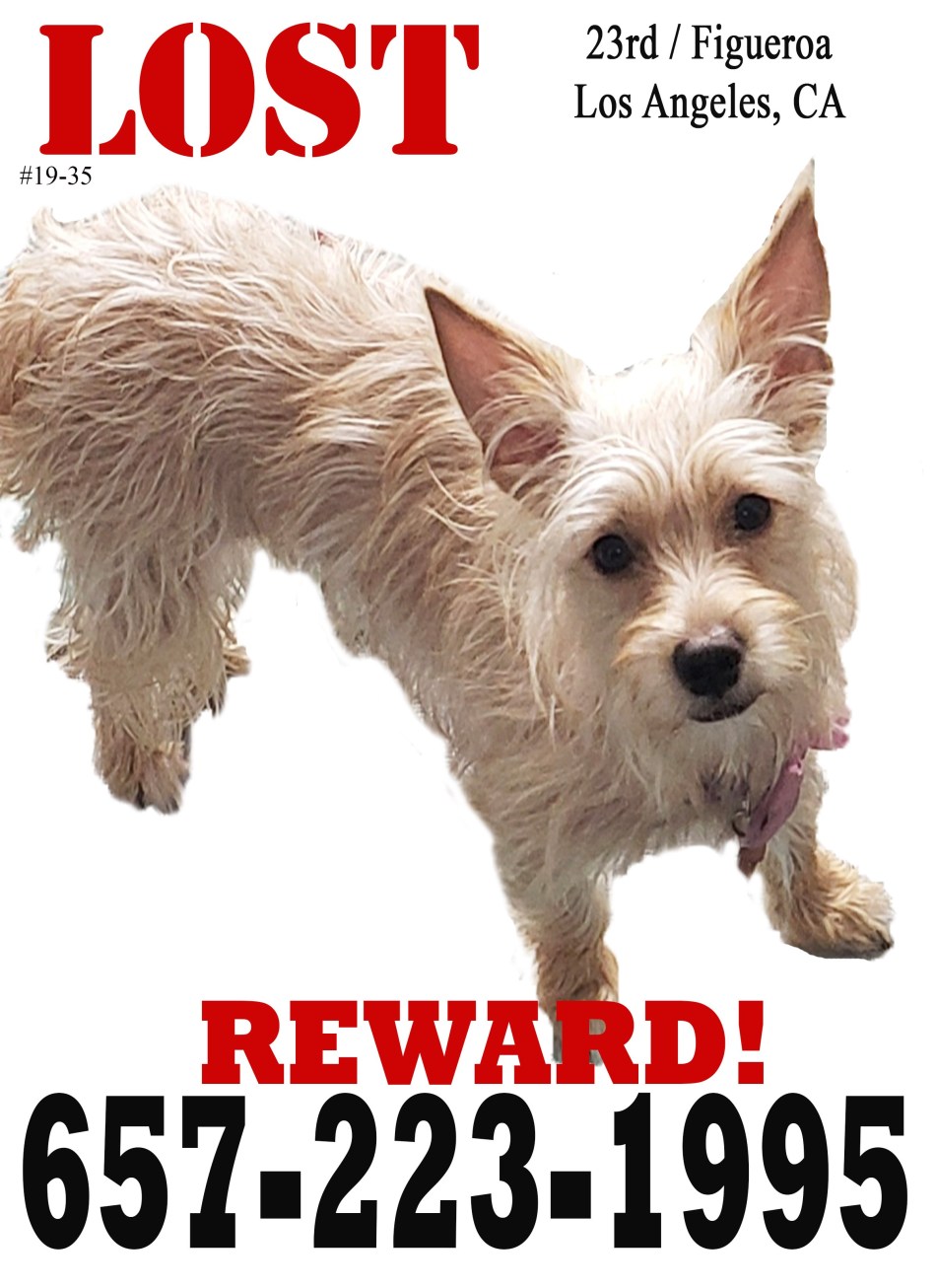 LOST Vivian -LA-11-29-19 (002)